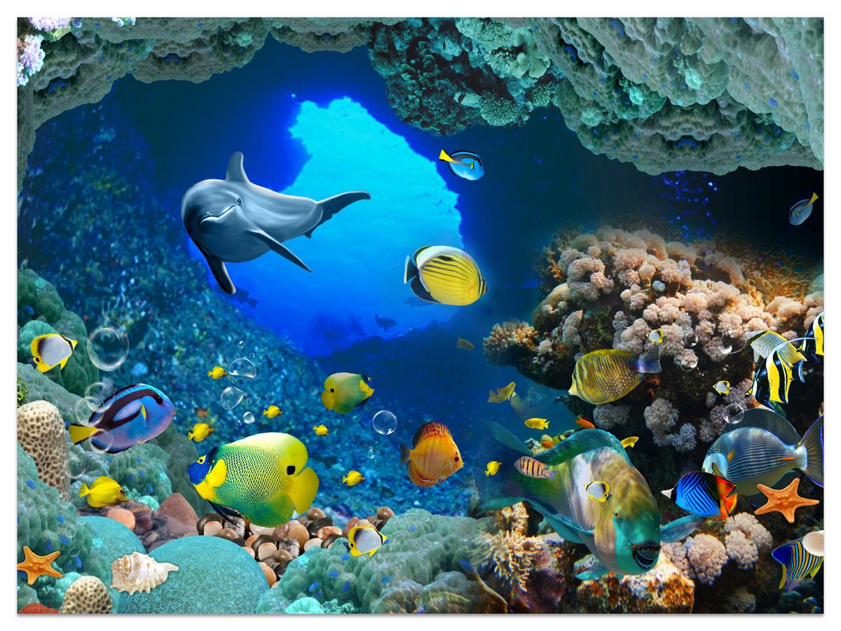 FOTOTAPETE für Badezimmer Unterwasser Korallenriffe Fische 350x256 - Türkis/Blau, Papier (350/256cm) - Muralo