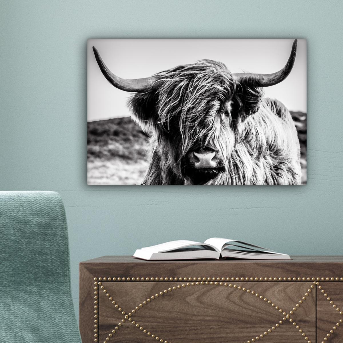 LEINWANDBILD Kuh - Schottischer Hochländer - Schwarz - Weiß - Tier - Natur - Wildtiere Deko Schlafzimmer 30x20 cm - Schwarz, Textil (30/20cm) - MuchoWow