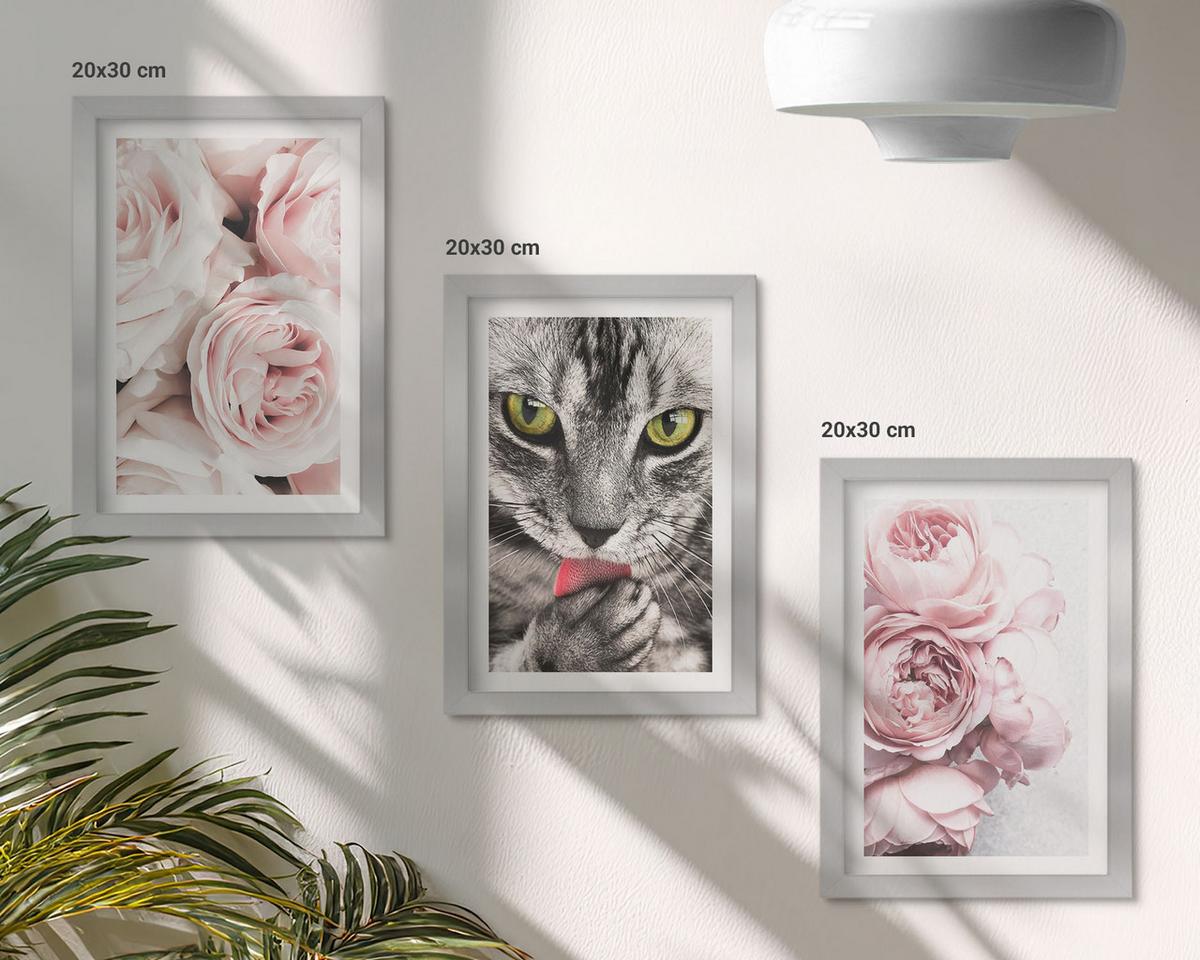 BILDER SET 3er Set - 20x30 cm Silberner Rahmen - Katze in rosa Blumen - Silberfarben, Kunststoff (20/30cm) - TULUP