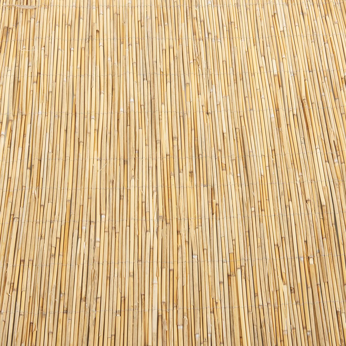 SCHILFZAUN Abbateggio - Naturfarben, Naturmaterialien (120/0.6cm) - casa.pro