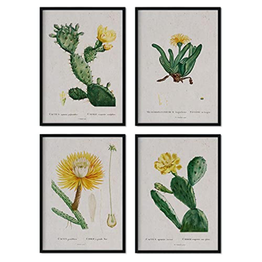 POSTER Set mit 4 gelber Pflanze aus dem Künstler Pierre Joseph Redouté A3 Schwarzer Rahmen - Schwarz, Papier (29.7/3cm) - Nacnic