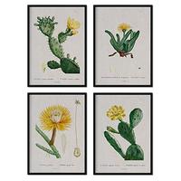 POSTER Set mit 4 gelber Pflanze aus dem Künstler Pierre Joseph Redouté A3 Schwarzer Rahmen - Schwarz, Papier (29.7/3cm) - Nacnic