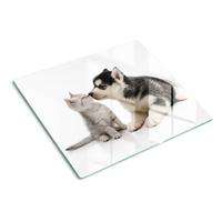 GLASPLATTE 60x52 cm Hund und Katze - Braun/Grün, Glas (60/52cm) - TULUP