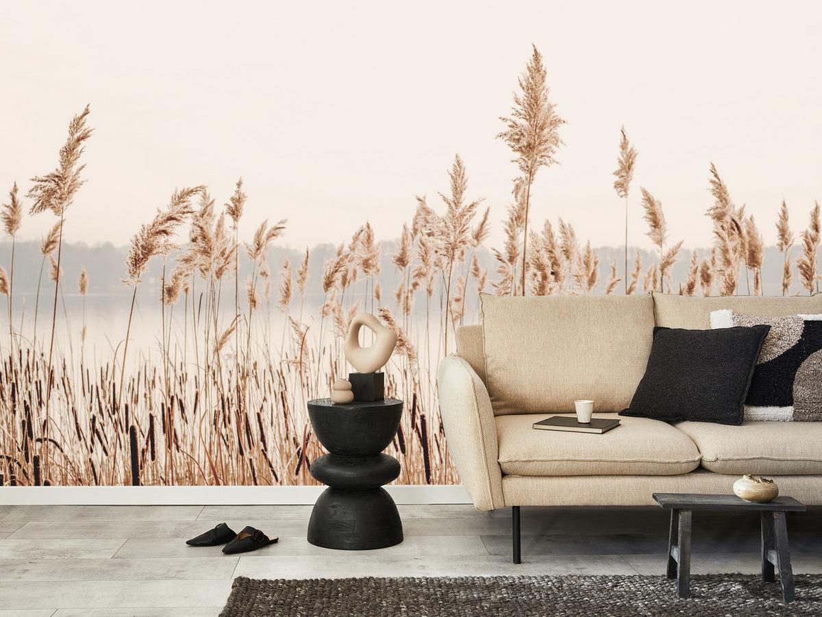 FOTOTAPETE für Wohnzimmer Pflanzen Natur 450x315 - Beige/Braun, Papier (450/315cm) - Muralo
