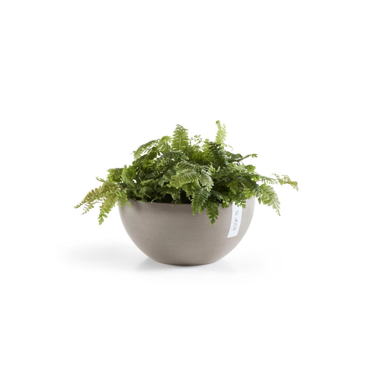 BLUMENTOPF Brussels 30/14,8 cm Taupe - Taupe, Kunststoff (30/14.8cm) - Ecopots