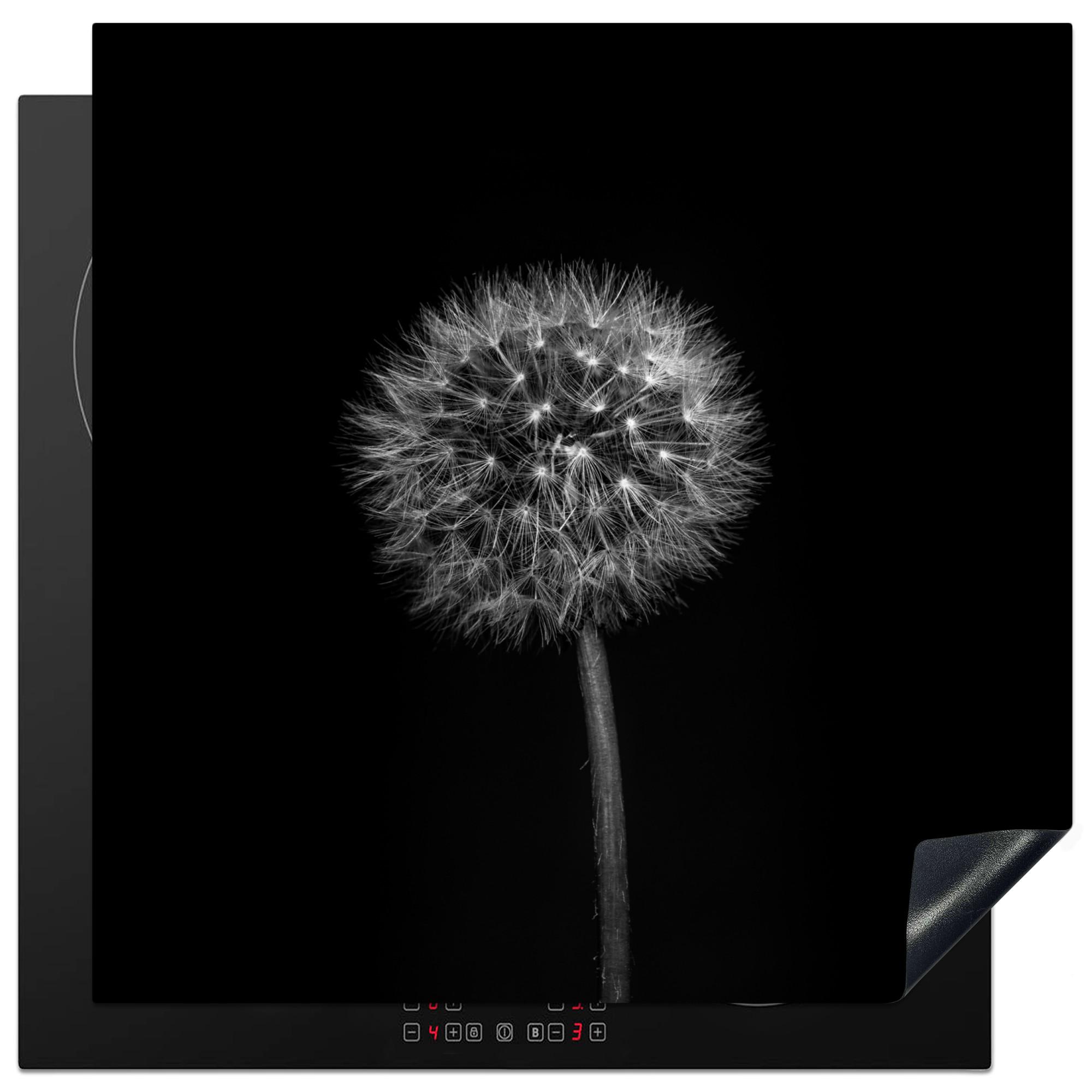 HERDABDECKPLATTE Löwenzahn - Schwarz - Floral - Botanisch Induktionsmatte 78x78 cm - Grau, Kunststoff (78/78/0.2cm) - MuchoWow