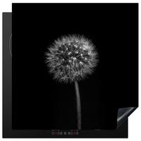 HERDABDECKPLATTE Löwenzahn - Schwarz - Floral - Botanisch Induktionsmatte 78x78 cm - Grau, Kunststoff (78/78/0.2cm) - MuchoWow