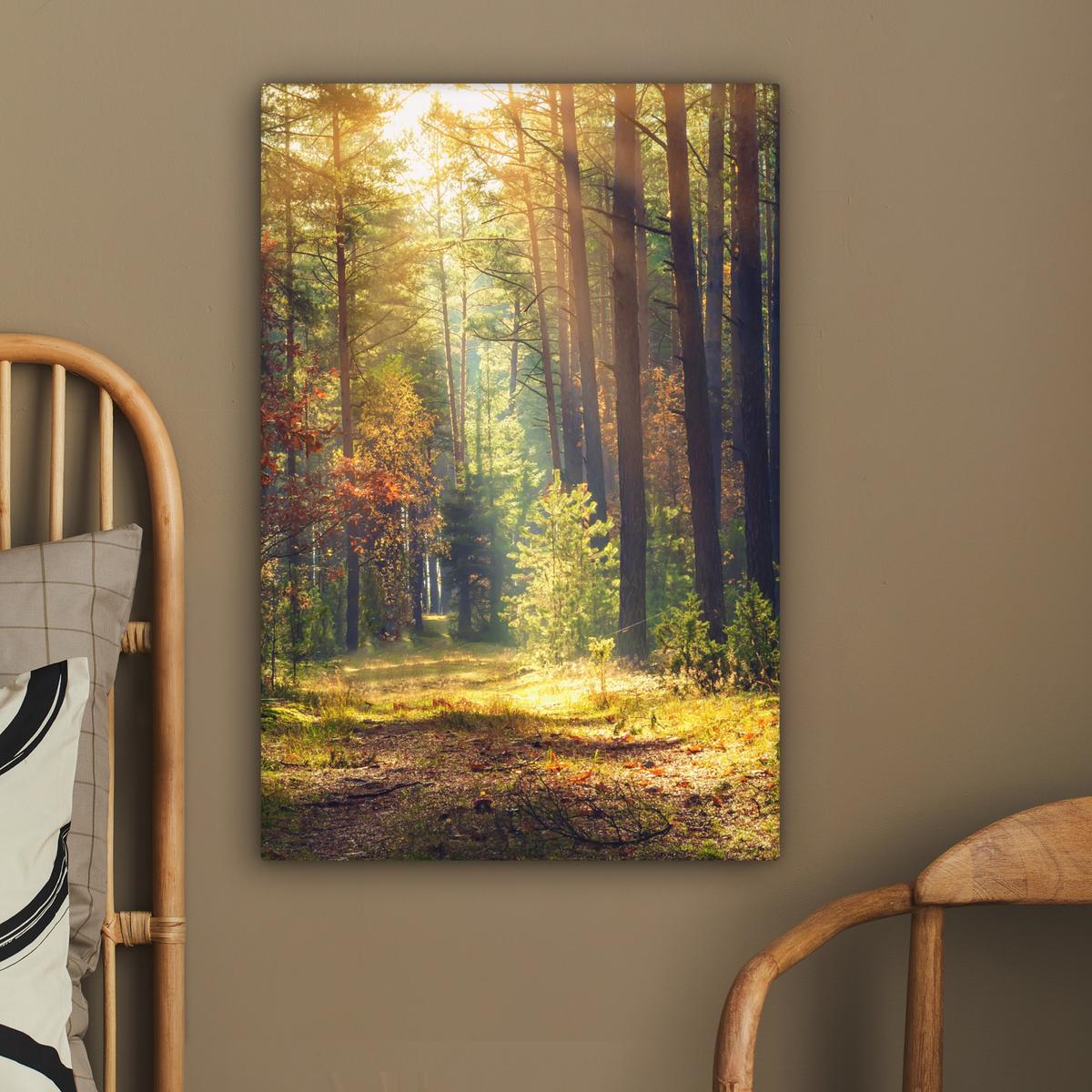 LEINWANDBILD Wald - Herbst - Bäume Wanddeko Schlafzimmer 60x90 cm - Dunkelgrün, Textil (60/90cm) - MuchoWow
