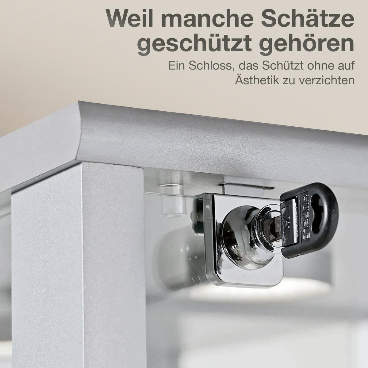 VITRINE 33/67/176 cm mit Spiegel, LED, Schloss & 4 höhenverstellbaren Glasböden - Transparent/Silberfarben, Glas/Holzwerkstoff (67/176/33cm) - K-Möbel