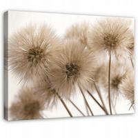 LEINWANDBILD Pusteblumen Blumen Beige 60x40 cm - Multicolor, Holzwerkstoff (60/40cm) - Wallarena