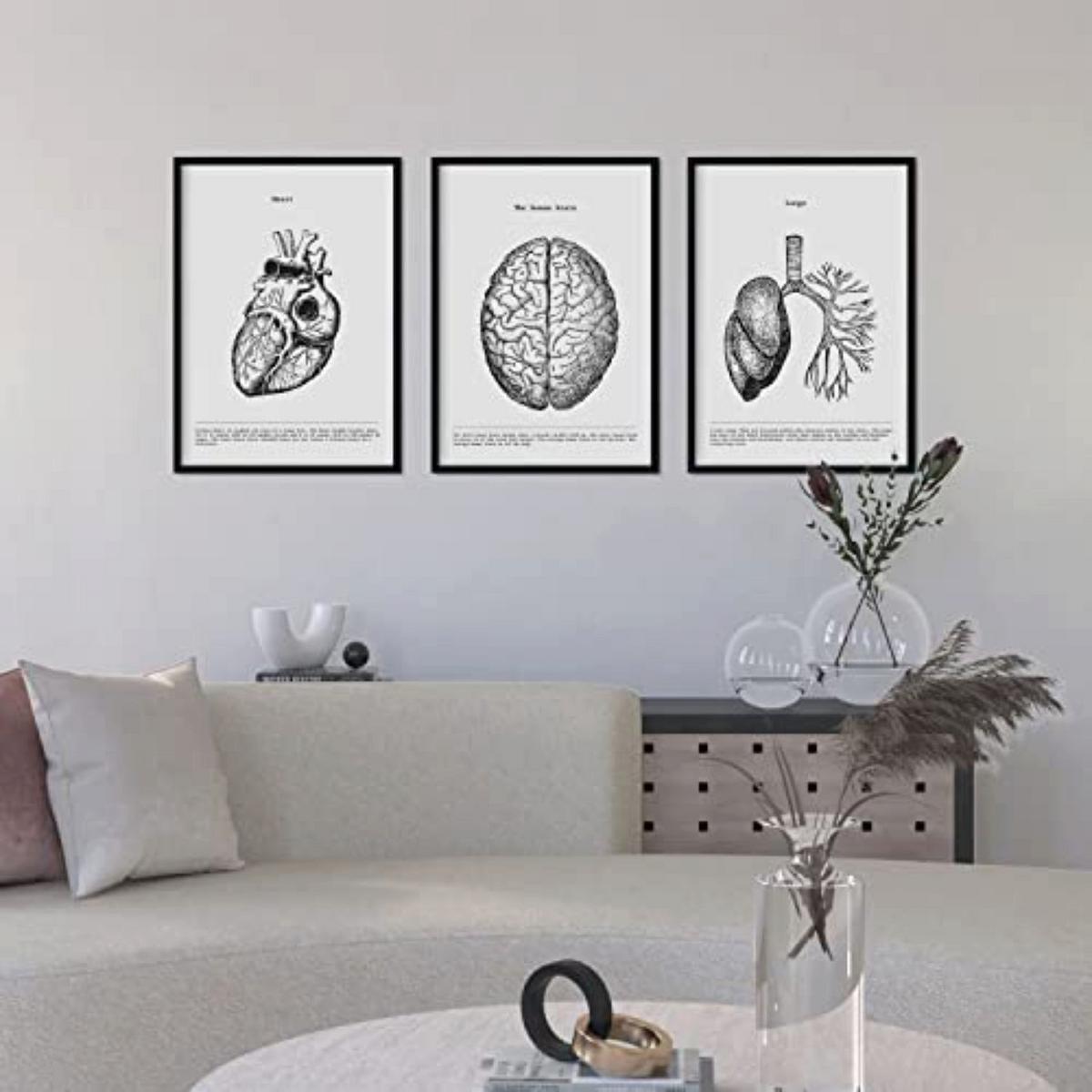 POSTER Set Mit 3 Herz, Gehirn Und Lunge A4 Rahmenlos - Klar, Papier (21/1cm) - Nacnic