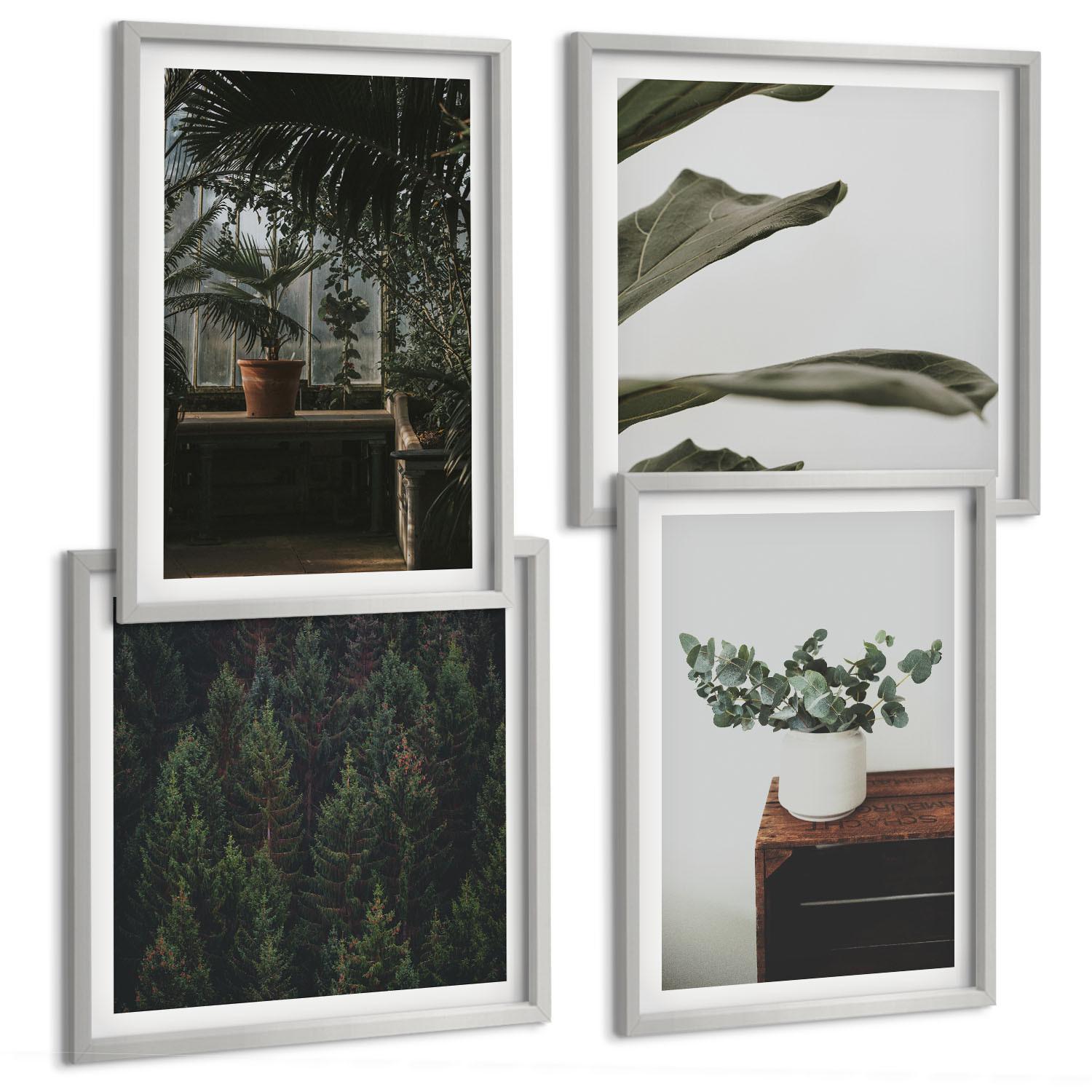 BILDER SET 4er Set - 50x50 cm & 40x60 cm Silberner Rahmen - Rustikale Topfpflanzen - Silberfarben, Kunststoff (50/50cm) - TULUP