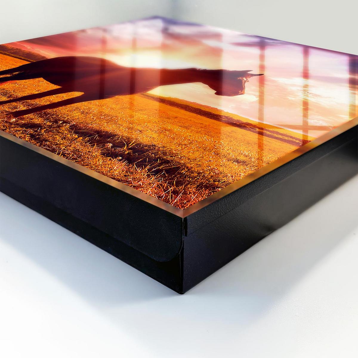 SCHLÜSSELBOX Schwarz 30x30 cm- Türöffnung nach rechts - Pferd in der Sonne - Orange, Metall (30/30/5cm) - TULUP