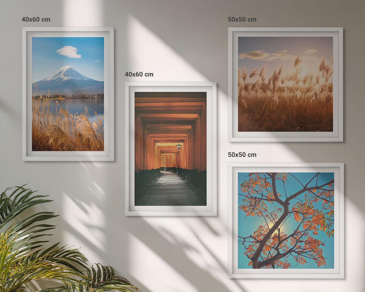 BILDER SET 4er Set - 50x50 cm & 40x60 cm Weißer Rahmen - Japanische Naturlandschaften - Weiß, Kunststoff (50/50cm) - TULUP