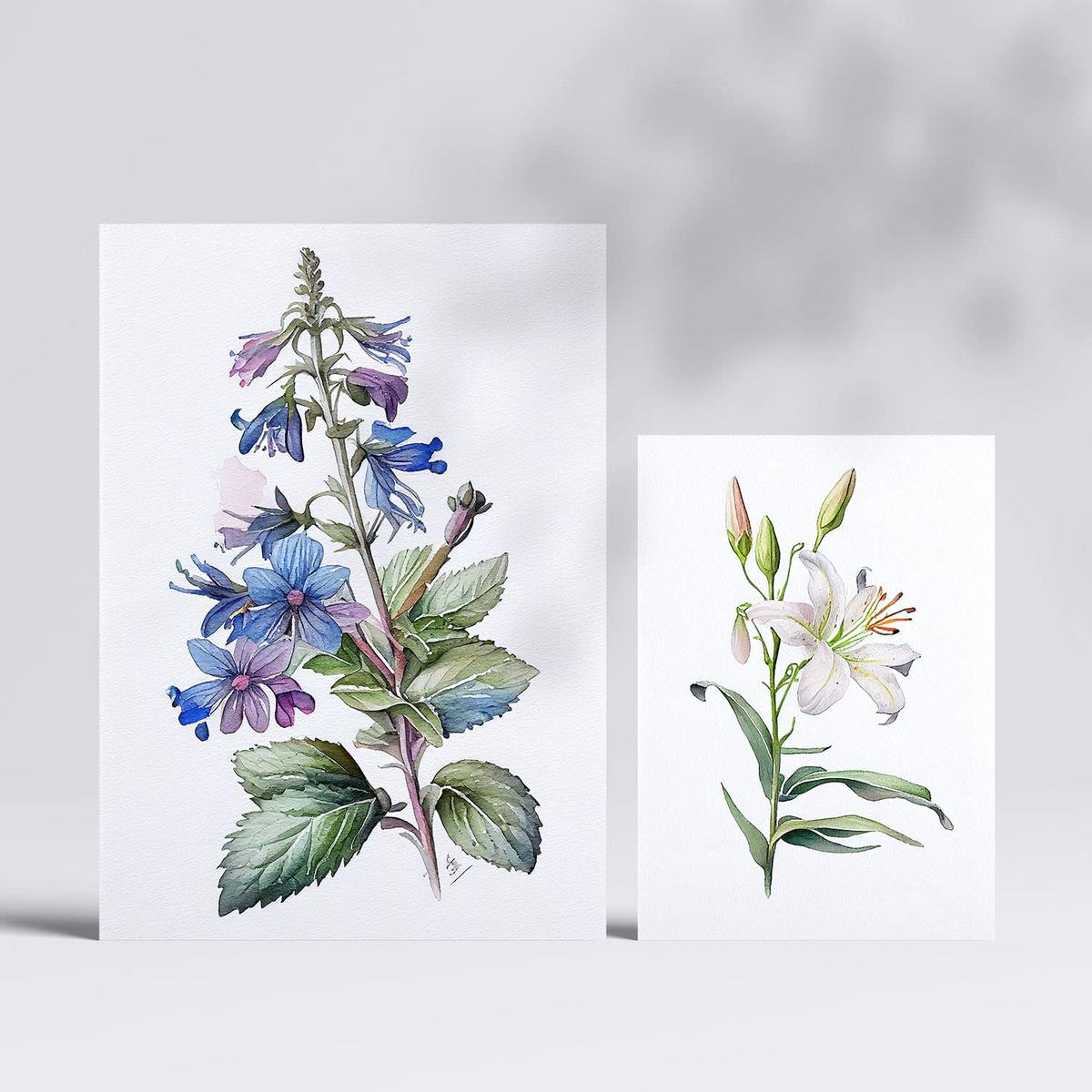 POSTER Set Mit 6 Lilien Vollfarbige Blumenmotiven A3 & A4 Rahmenlos - Klar, Papier (29/3cm) - Nacnic