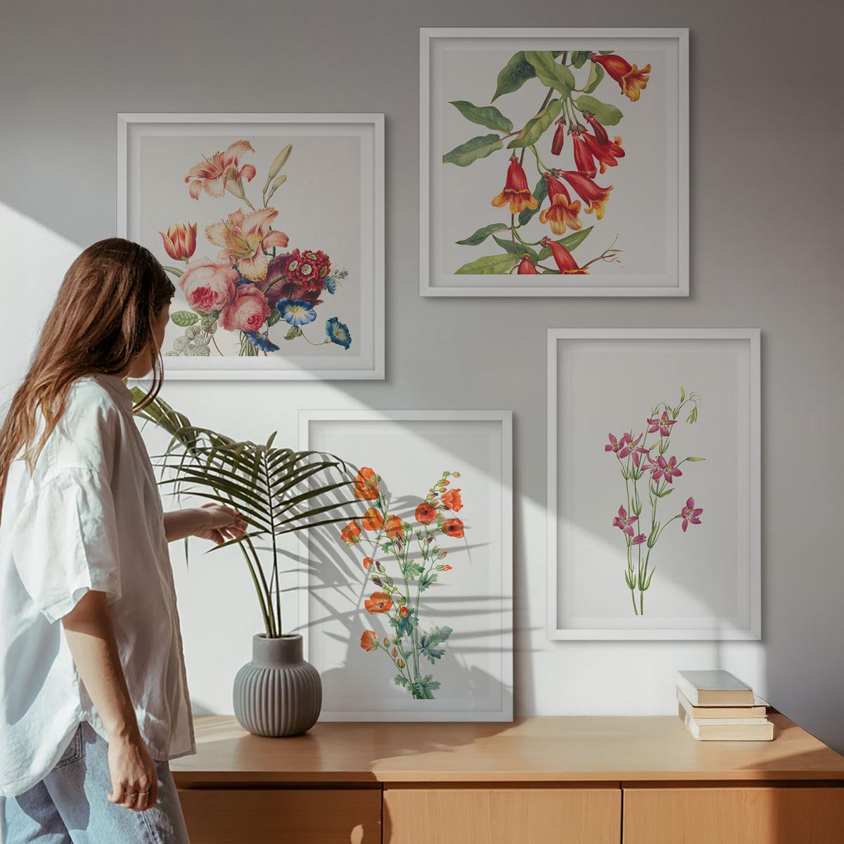 BILDER SET 4er Set - 50x50 cm & 40x60 cm Weißer Rahmen - Blumenmalerei im Retro-Stil - Weiß, Kunststoff (50/50cm) - TULUP