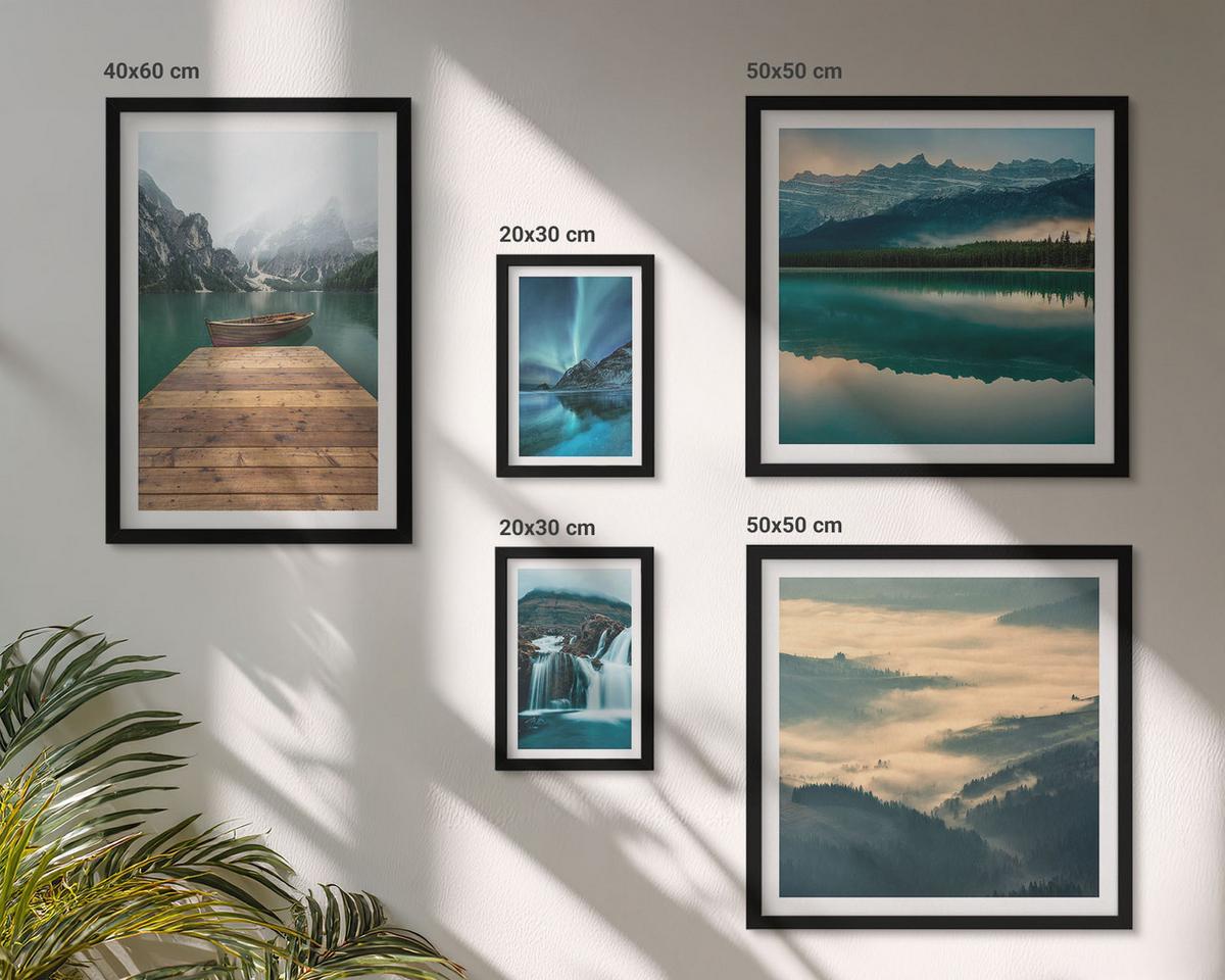 BILDER SET 5er Set - 50x50 cm & 20x30 cm & 40x60 cm Schwarzer Rahmen - Abstrakte Monstera-Palmenblätter - Schwarz, Kunststoff (40/60cm) - TULUP