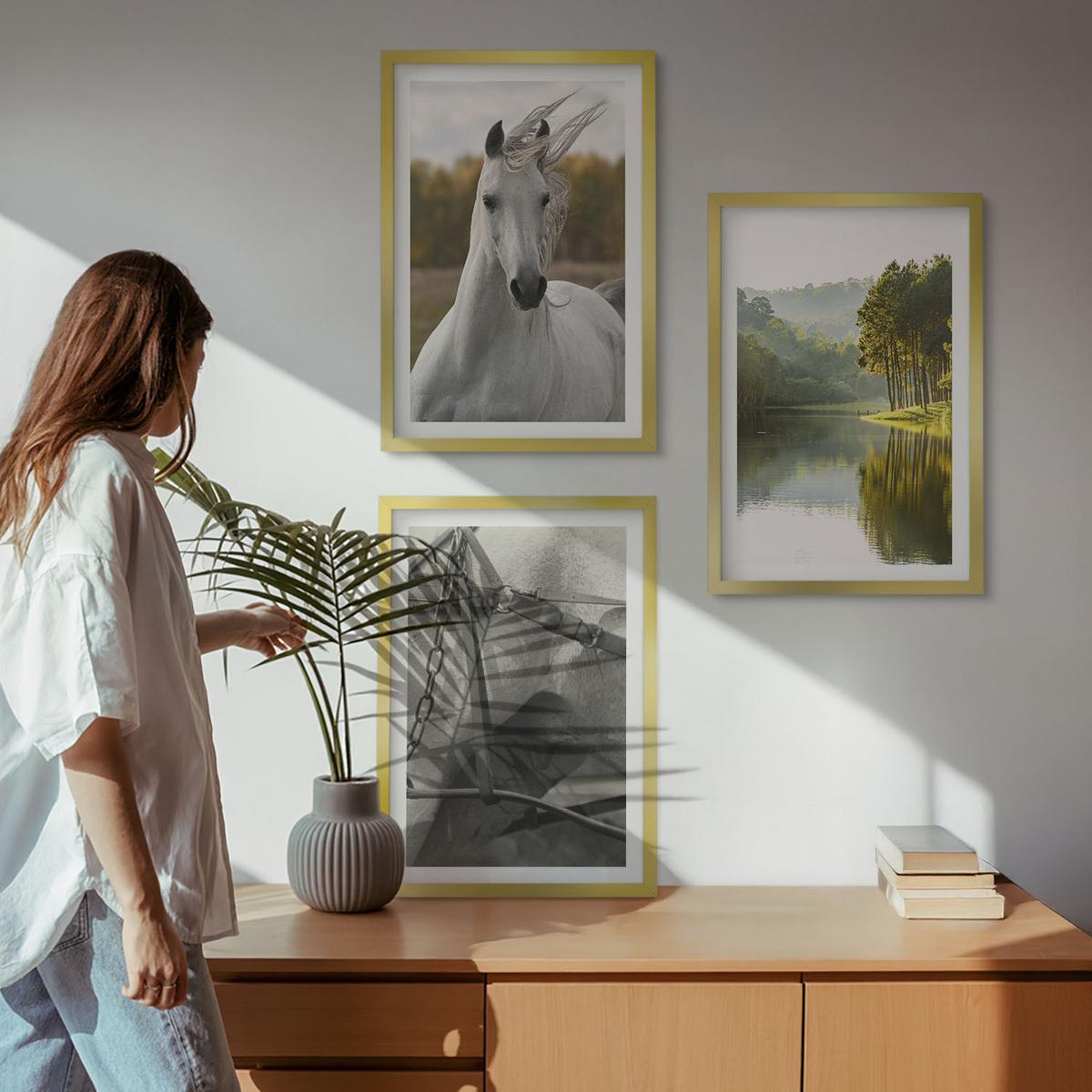BILDER SET 3er Set - 40x60 cm Goldrahmen - Natur des Flusses White Horses - Goldfarben, Kunststoff (40/60cm) - TULUP