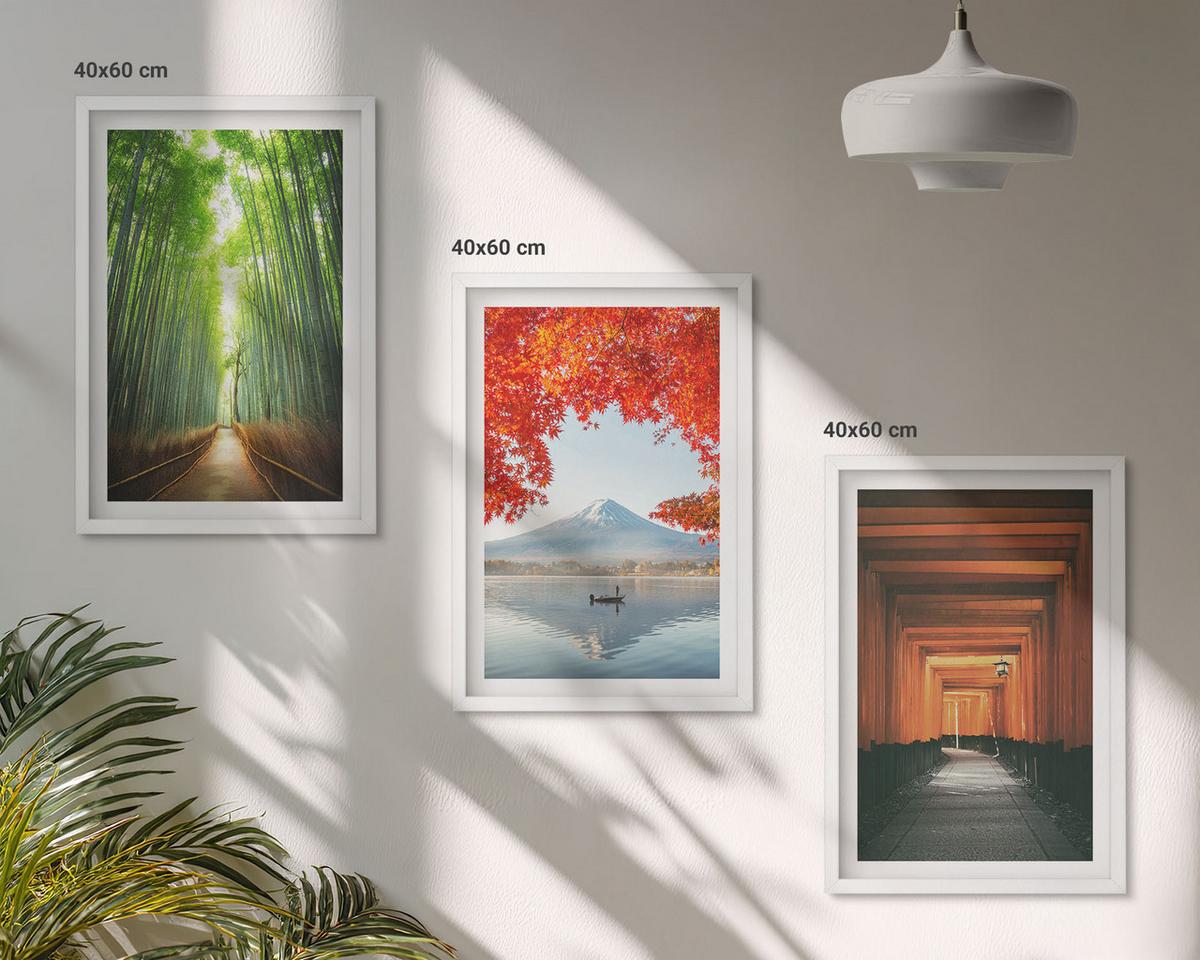 BILDER SET 3er Set - 40x60 cm Weißer Rahmen - Fuji-Bambuswaldlandschaft - Weiß, Kunststoff (40/60cm) - TULUP