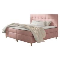 BOXBETT Avanti - H3 - Rosa, Holz/Textil (160/200cm) - MIRJAN24