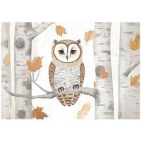TAPETE Kinderzimmer Tiere Eule 250x175 - Multicolor, Papier (250/175cm) - Wallarena