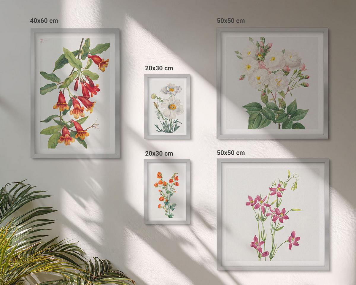 BILDER SET 5er Set - 50x50 cm & 20x30 cm & 40x60 cm Silberner Rahmen - Retro-Blumenmalerei - Silberfarben, Kunststoff (40/60cm) - TULUP