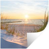 WANDTATTOO Strand - Sonne - Düne - Gras - Sand - Horizont Wanddeko 50x50 cm - Hellblau, Kunststoff (50/50/0.1cm) - MuchoWow