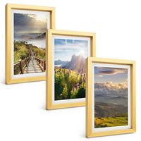 BILDER SET 3er Set - 20x30 cm Goldrahmen - Berglandschaft mit Blumen - Goldfarben, Kunststoff (20/30cm) - TULUP