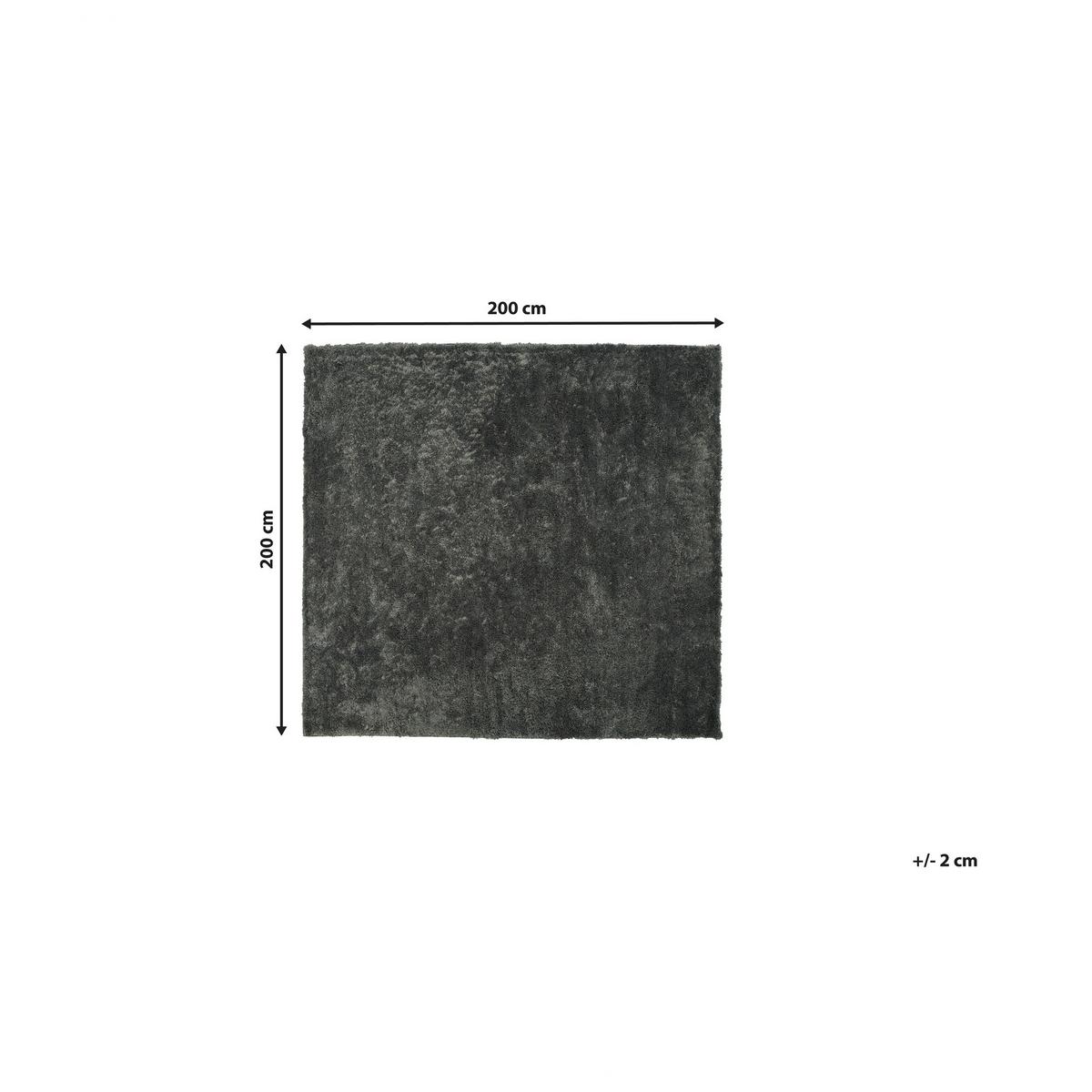SHAGGY-TEPPICH Evren 200/200 cm - Grau, Kunststoff (200/200cm) - Beliani