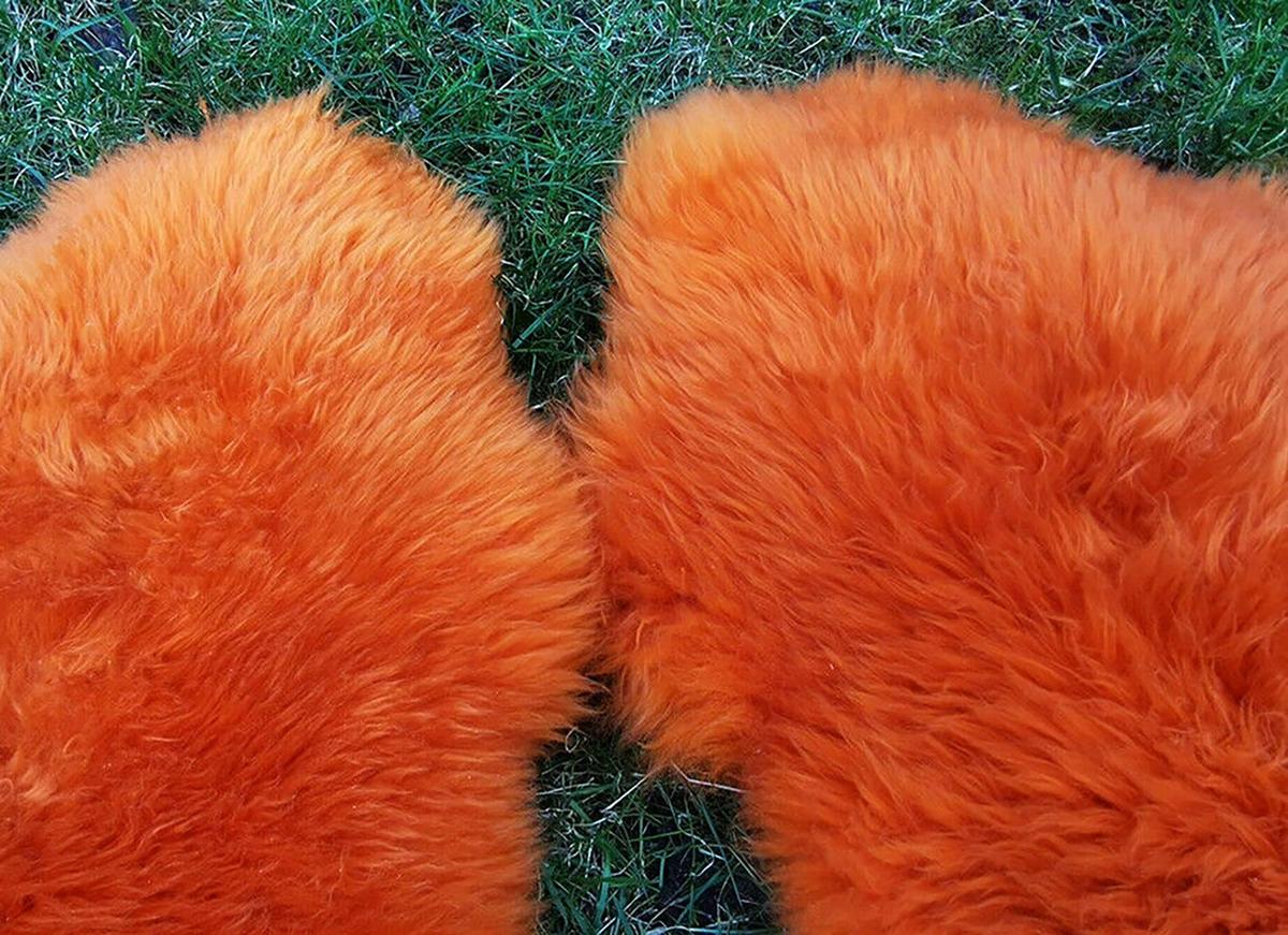 LAMMFELL Öko bunt gefärbt weich Fell Teppich Orange ca. 110 cm - Orange, Fell (60/110cm) - Provellus
