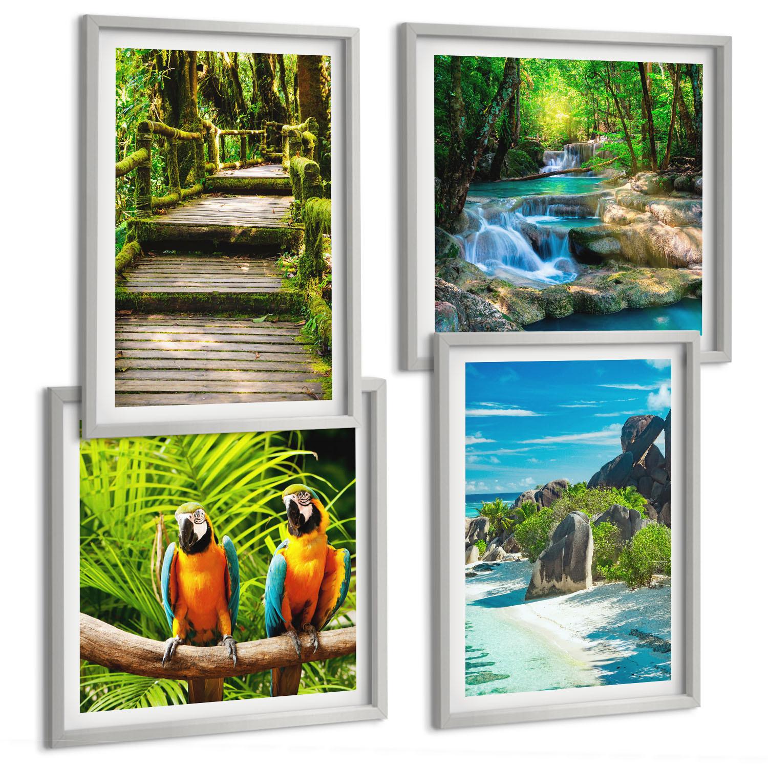 BILDER SET 4er Set - 50x50 cm & 40x60 cm Silberner Rahmen - Tropischer Wald Papageienwasserfall - Silberfarben, Kunststoff (50/50cm) - TULUP