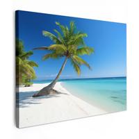 LEINWANDBILD Strand - Palme - Tropisch - Meer Wandbilder 80x60 cm - Grün, Textil (80/60cm) - MuchoWow