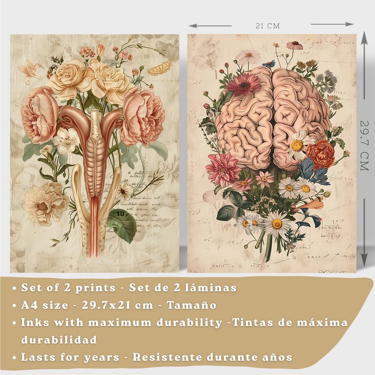 POSTER Set aus 2 Weibliche Anatomie Drucke und Wandbilder mit Gehirn und Gebärmutter Botanischer Retro Floraler Stil Größe Leichter Holzrahmen A4 - Beige, Papier (21/29.7/3cm) - Nacnic