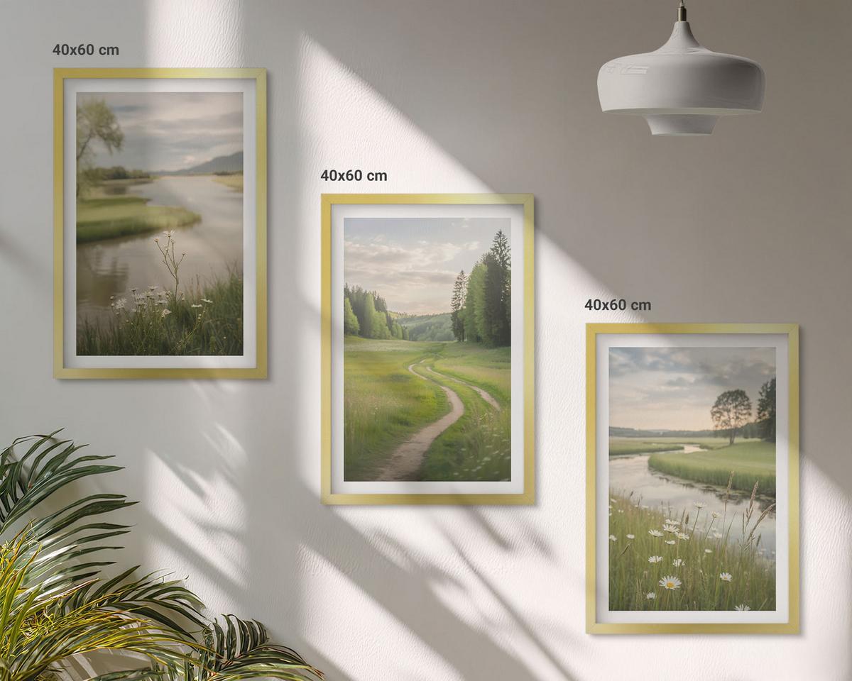 BILDER SET 3er Set - 40x60 cm Goldrahmen - Sommerliche Flusswiesen voller Blumen - Goldfarben, Kunststoff (40/60cm) - TULUP