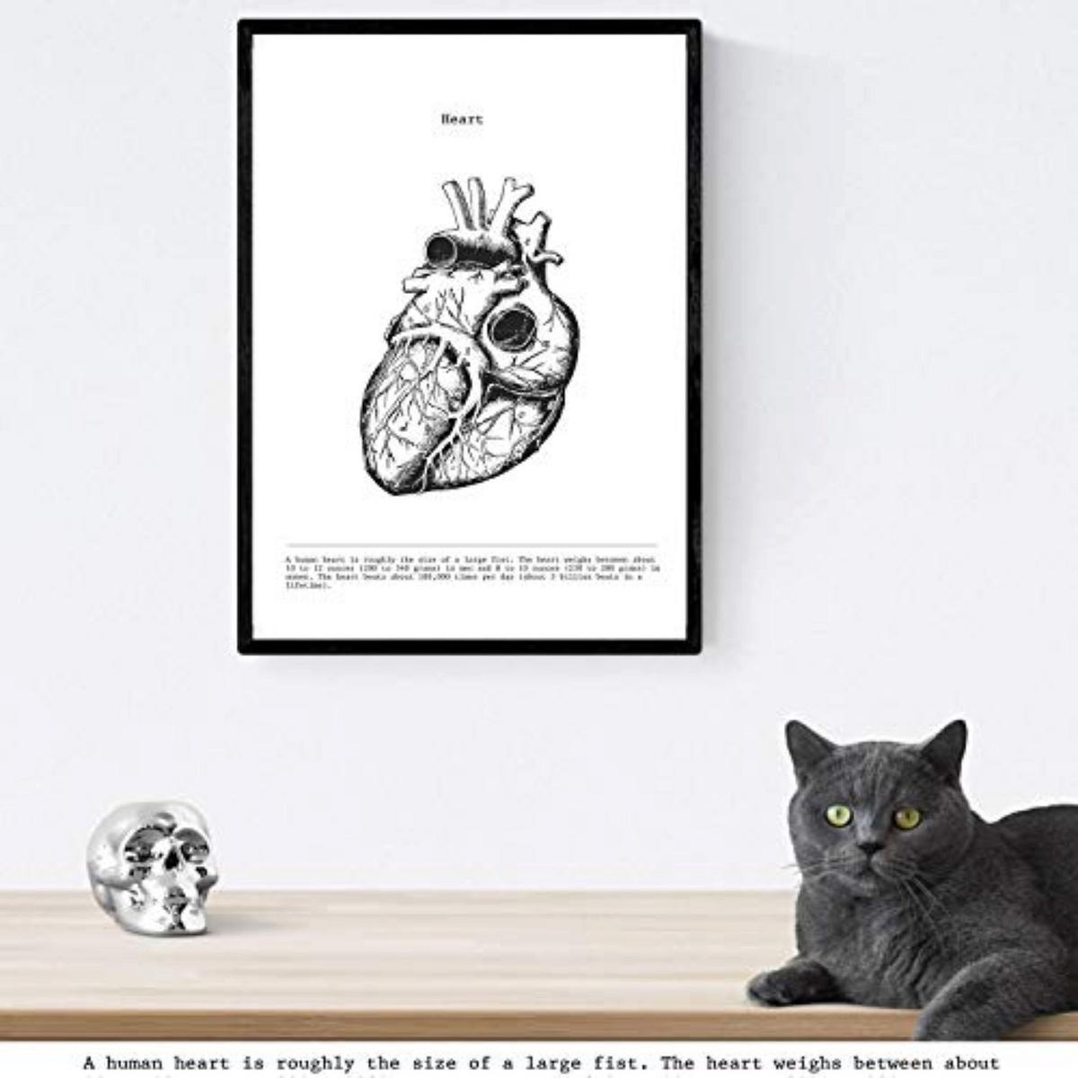 POSTER Set Mit 3 Herz, Gehirn Und Lunge A4 Rahmenlos - Klar, Papier (21/1cm) - Nacnic