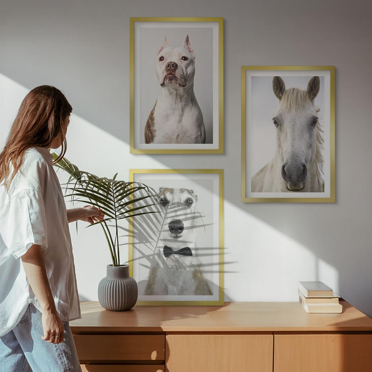 BILDER SET 3er Set - 40x60 cm Goldrahmen - Elegante Porträts von Hunden und Pferden - Goldfarben, Kunststoff (40/60cm) - TULUP