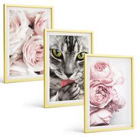 BILDER SET 3er Set - 40x60 cm Goldrahmen - Katze in rosa Blumen - Goldfarben, Kunststoff (40/60cm) - TULUP