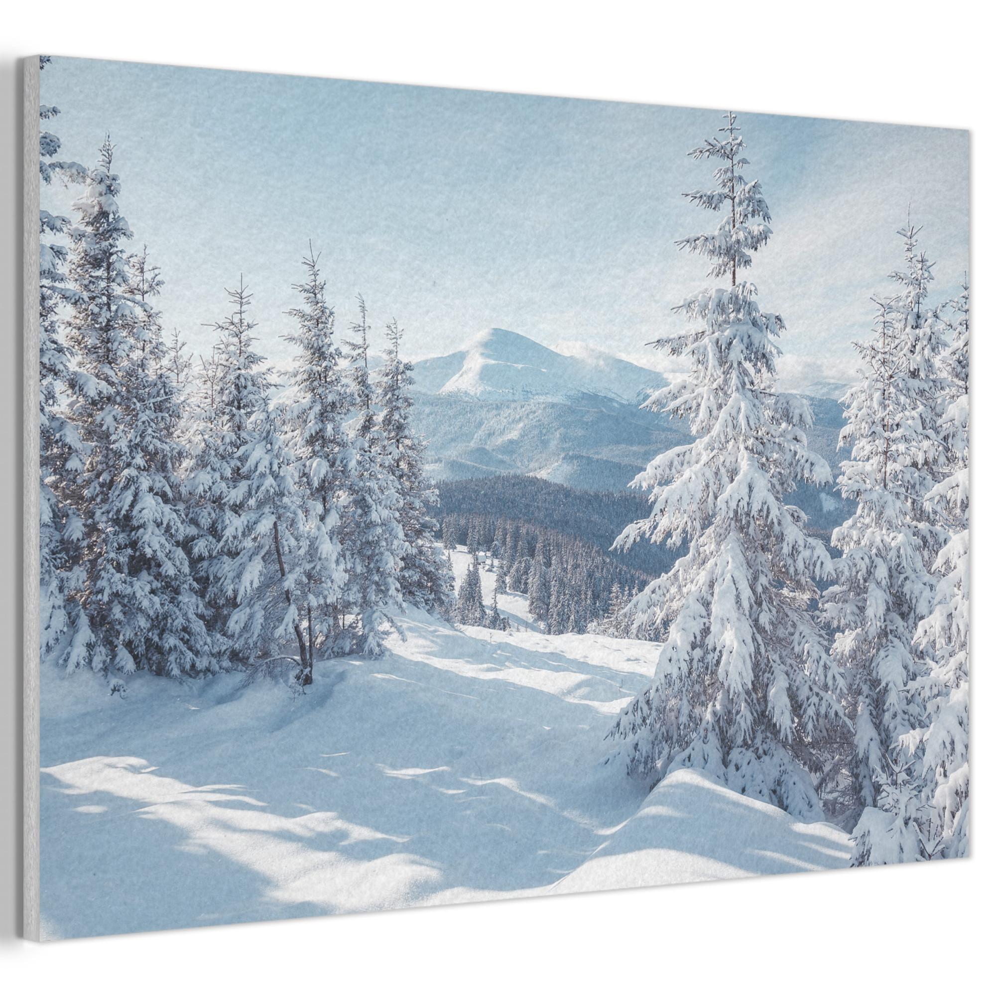 AKUSTIKBILD Winterlandschaft - Natur - Berge - Bäume - Schnee Akustikpaneele 90x60 cm - Hellblau, Kunststoff (90/60/0.9cm) - MuchoWow