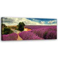 KUNSTDRUCK Lila 150/50 cm - Lila, Textil (150/50cm) - KUNSTLOFT