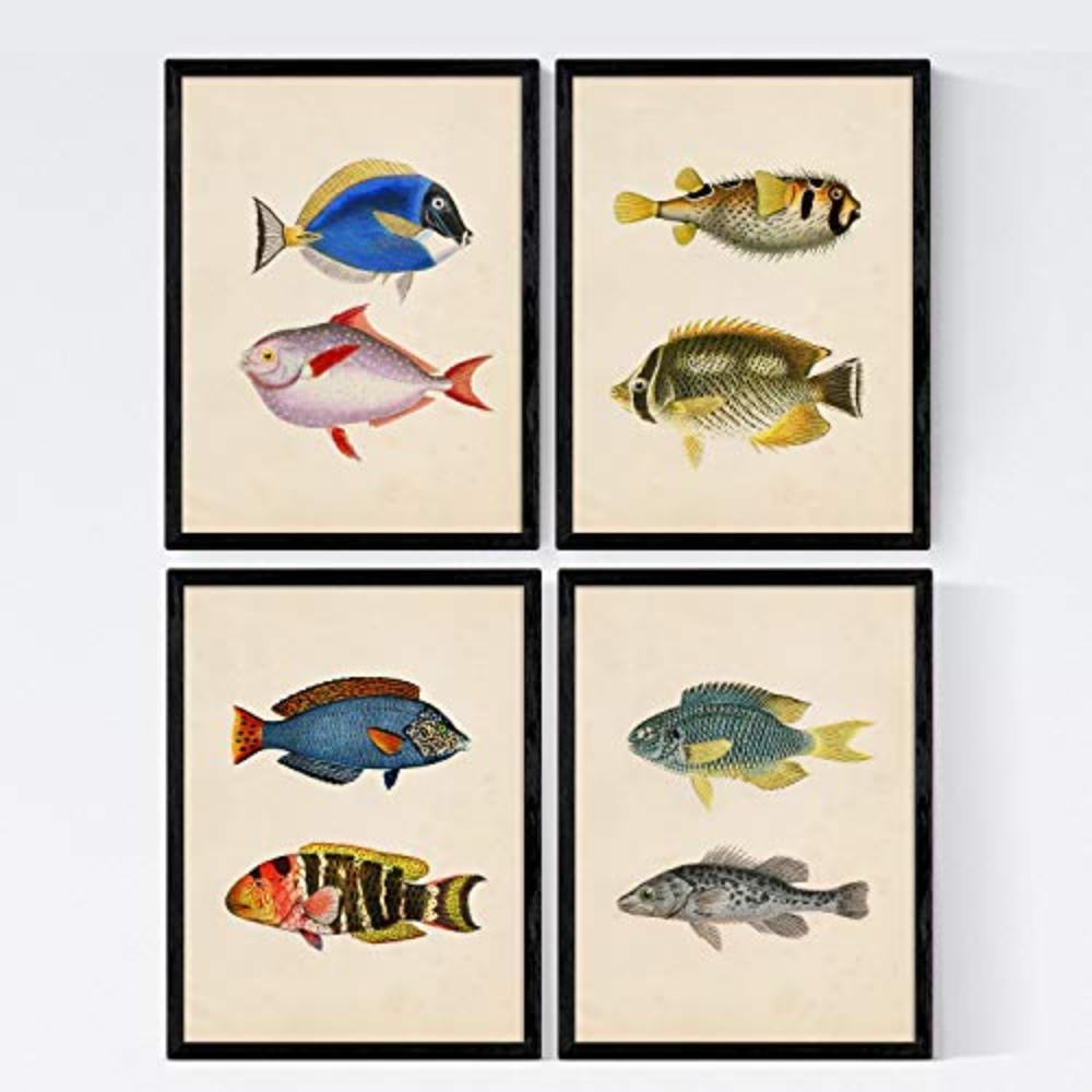 POSTER Set mit 4 Sibirischen 8 verschiedene Zusammensetzung A4 Schwarzer Rahmen - Schwarz, Papier (29.7/3cm) - Nacnic