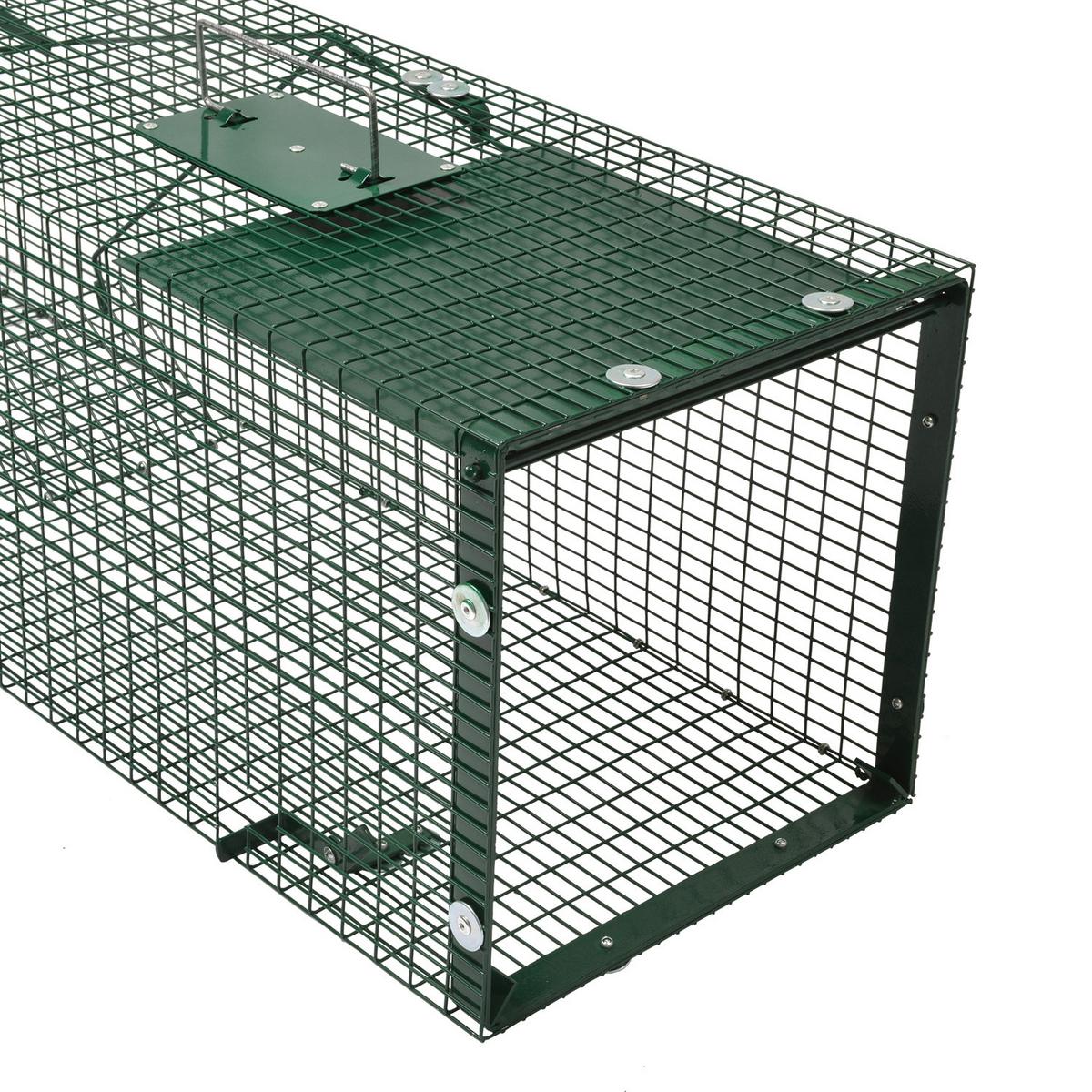 MOORLAND Safe 5002 Lebendfalle 30x30x90 cm – 1 Eingang, 1,8 mm Drahtgitter (RAL 6005) - Grün, Holz (30/30/90cm) - Moorland