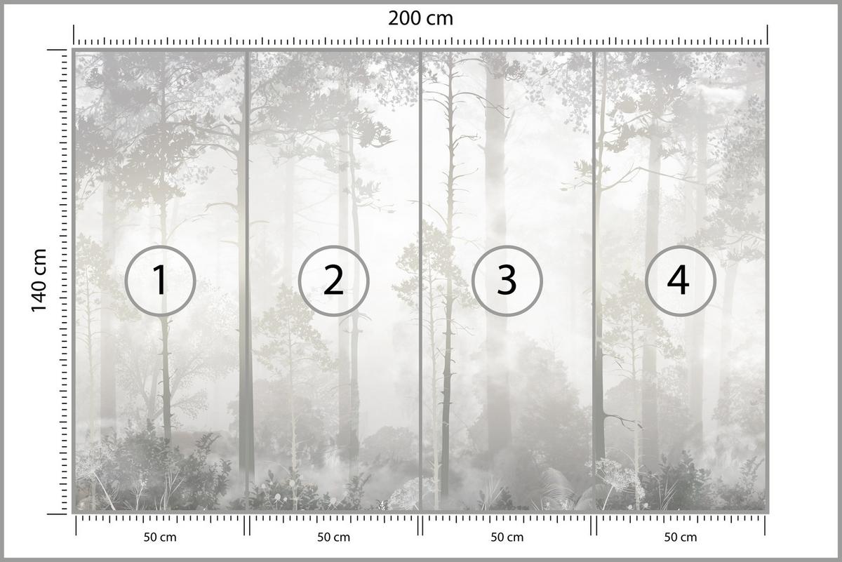 FOTOTAPETE für Schlafzimmer Nebliger Wald Bäume Sträucher Mystik 200x140 - Beige/Weiß, Papier (200/140cm) - Muralo