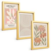 BILDER SET 3er Set - 20x30 cm Goldrahmen - Abstrakte Pflanzenformen - Goldfarben, Kunststoff (20/30cm) - TULUP