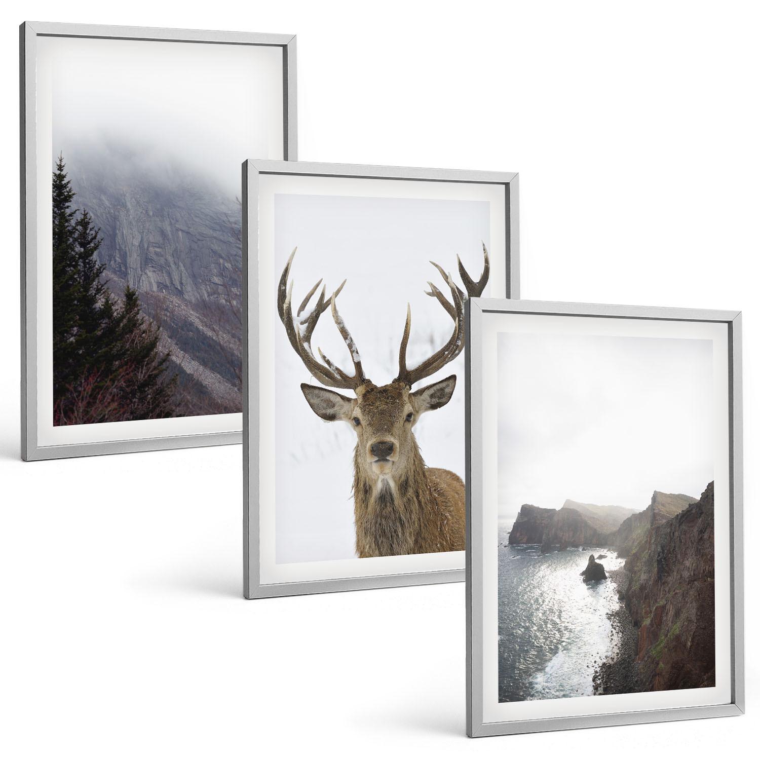 BILDER SET 3er Set - 40x60 cm Silberner Rahmen - Berglandschaft mit Hirschen - Silberfarben, Kunststoff (40/60cm) - TULUP