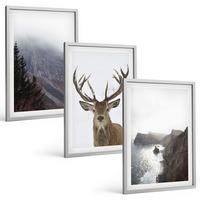 BILDER SET 3er Set - 40x60 cm Silberner Rahmen - Berglandschaft mit Hirschen - Silberfarben, Kunststoff (40/60cm) - TULUP