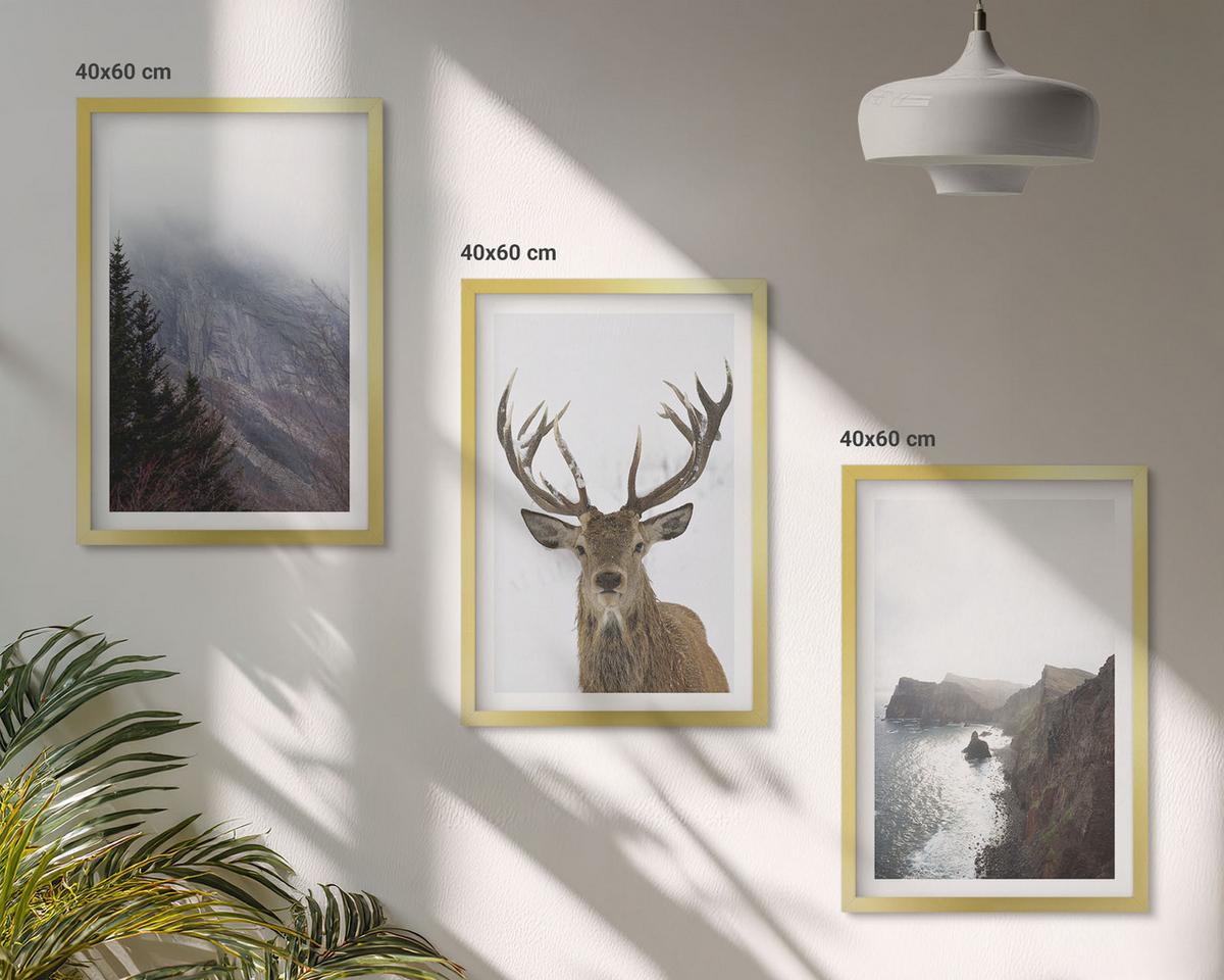 BILDER SET 3er Set - 40x60 cm Goldrahmen - Berglandschaft mit Hirschen - Goldfarben, Kunststoff (40/60cm) - TULUP