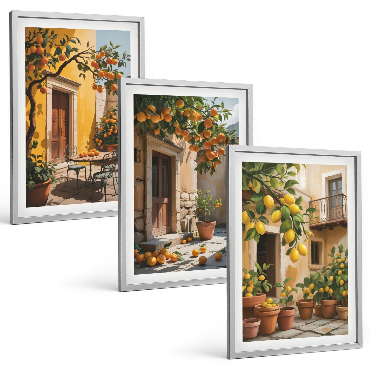 BILDER SET 3er Set - 40x60 cm Silberner Rahmen - Zitrusfrüchte, Hofpflanzen - Silberfarben, Kunststoff (40/60cm) - TULUP