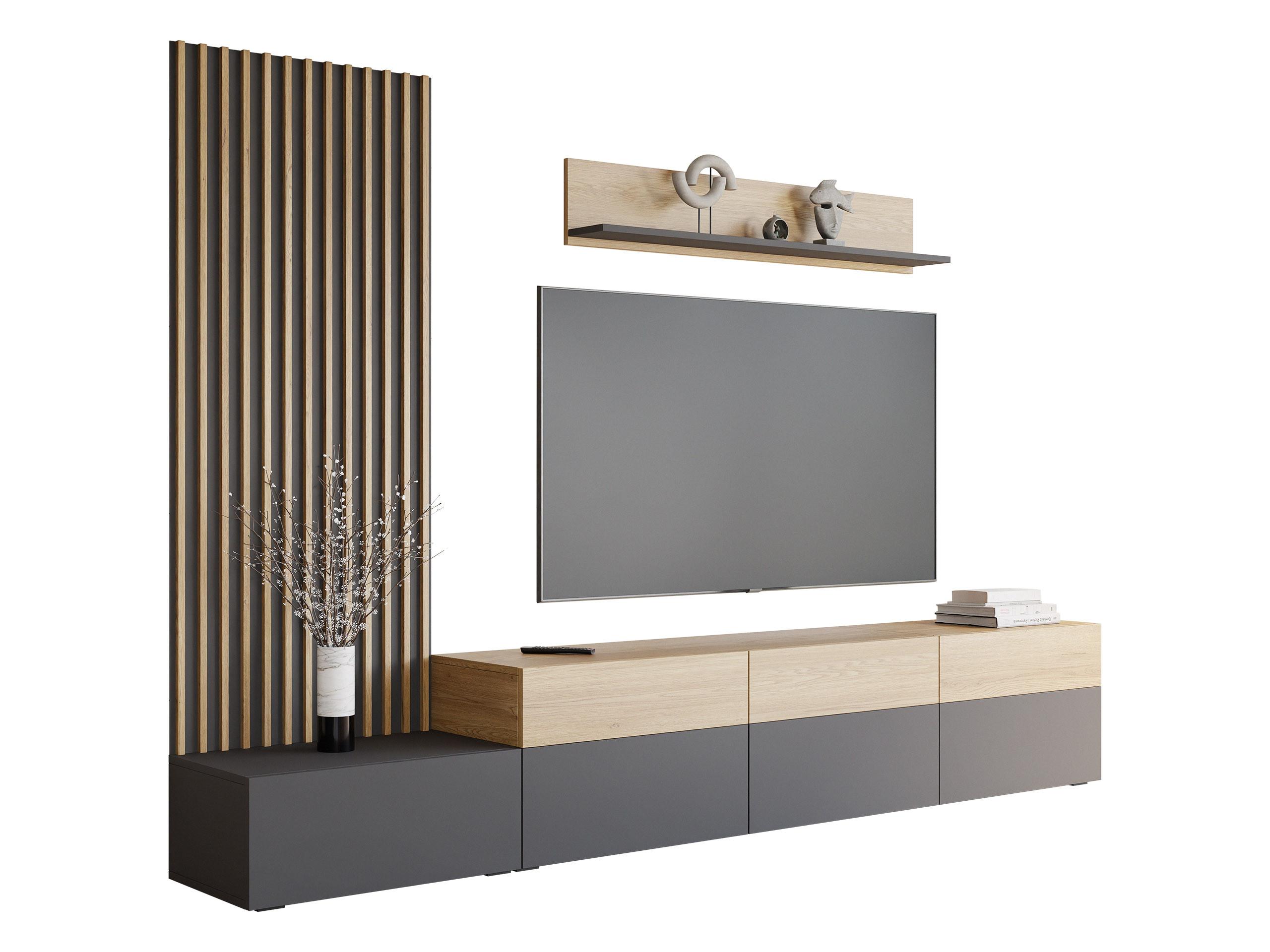 WOHNWAND Narezi II - Eichefarben/Graphitfarben, Holzwerkstoff/Kunststoff (300/209/40cm) - MIRJAN24