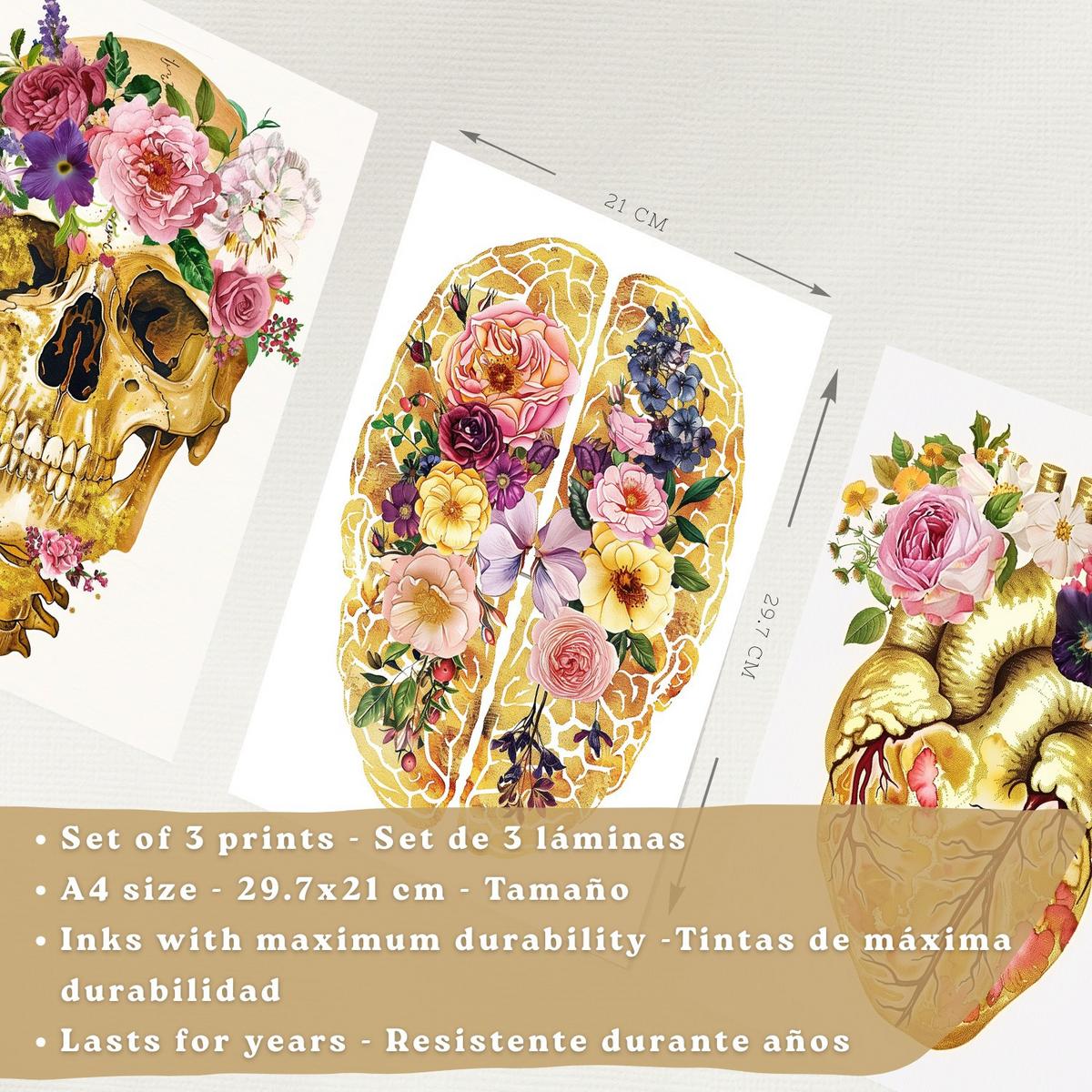 POSTER Set aus 3 Anatomie Mensch Drucke und mit Schädel Gehirn und Herz Goldene Florale Künstlerische Illustration Größe Schwarzer Rahmen A4 - Schwarz, Papier (21/29.7/3cm) - Nacnic