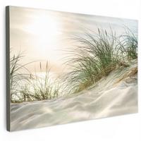 LEINWANDBILD Dünen mit Strandhafer in der Sonne des Nationalparks Schleswig-Holsteinisches Wattenmeer Wohnzimmer Groß 120x80 cm - Creme, Textil (120/80cm) - MuchoWow